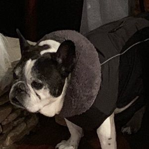 Meet your Posher, Debbie